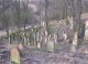 Drahonice - cimitero ebraico